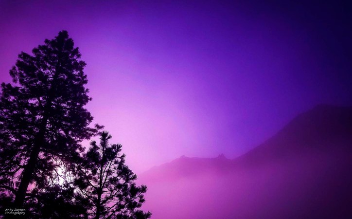Purple Misty Morning - 2018